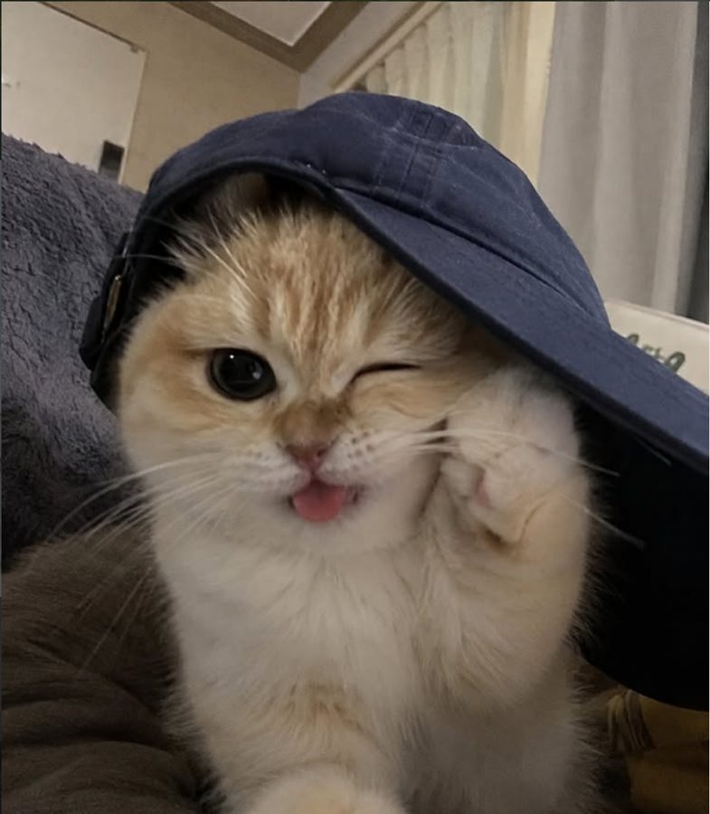 Hongcha in a blue cap, winking with his tongue out