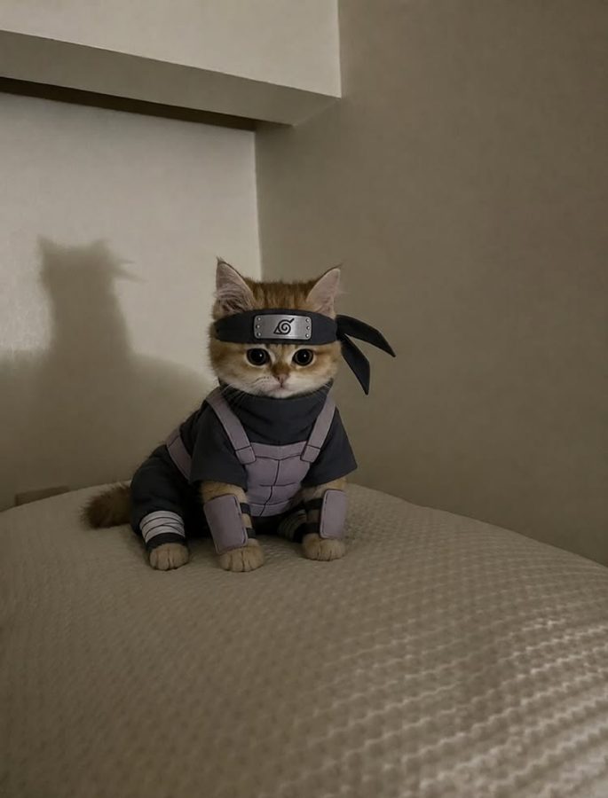 Hongcha in a ninja costume with a headband, sitting on the bed